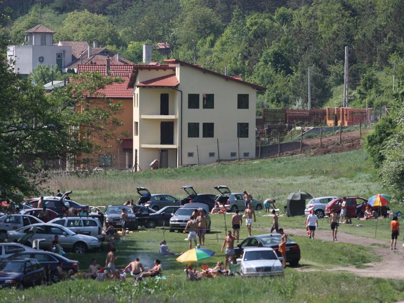 Peste 1.000 de semnături strânse deja pentru protejarea Pădurii Făget. Semnează şi tu!
