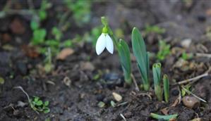 Ce temperaturi vor fi până pe 7 martie. Prognoza meteo 