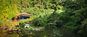 O carte pe post de bilet de intrare la Grădina Botanică din Cluj
