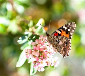 Se încălzeşte, se răceşte. Evoluţia vremii în următoarele două săptămâni