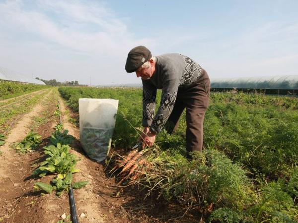 Statul a câştigat jumătate dintre procesele cu fermierii