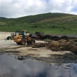 Aurul din bălegar. Ardelenii fac agricultură şi energie din gunoiul de grajd