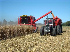 2016, cel mai bun an pentru agricultura românească din ultimul deceniu. Business de 24,5 miliarde lei 