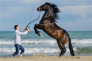 Invitat special la Salina Equines Horse Trophy: celebrul Miron Bococi va susţine un spectacol impresionant de acrobație și dresaj în libertate FOTO