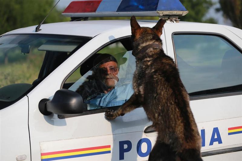 10 ani de TIFF la Sibiu. 