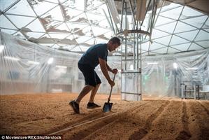 Se vor putea cultiva legume pe Marte