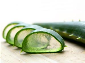 Planta NEMURIRII. Antiseptică şi analgezică, purifică organismul