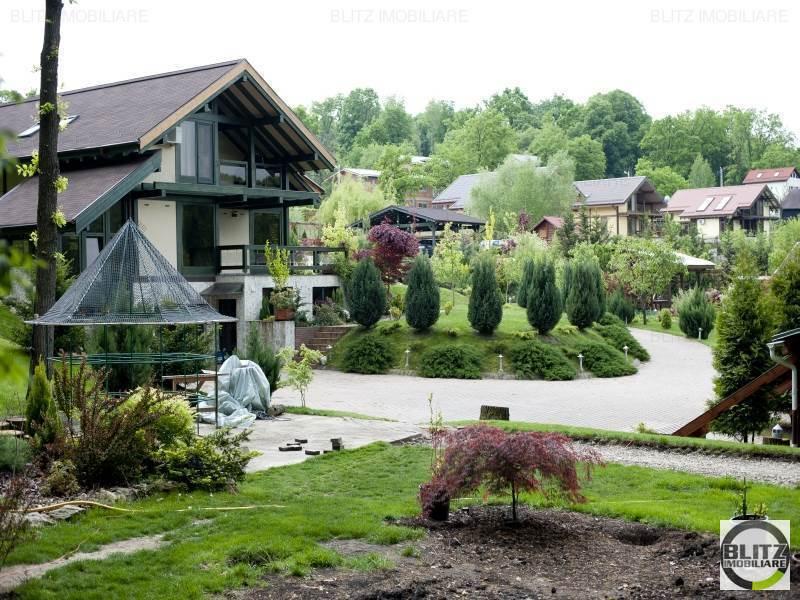Vilele de milioane ale Clujului. Paradisuri cu 7 sau 10 camere pentru excentrici