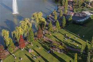 Global Village și o petrecere marca Daydreaming, în weekend, în Iulius Parc (P)