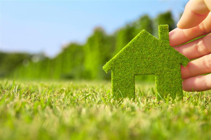 Programele 'Casa Verde' și 'Casa Verde Plus', în dezbatere publică