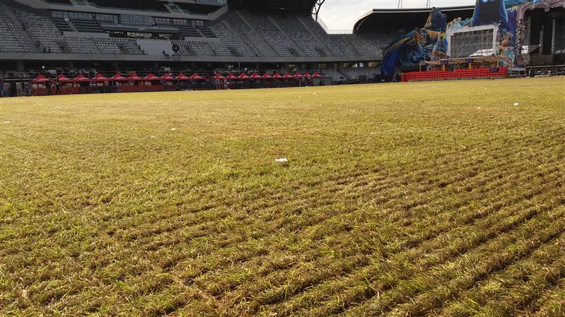 CJ Cluj, proprietarul stadionului Cluj Arena, cere remedierea de urgenţă a gazonului