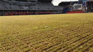CJ Cluj, proprietarul stadionului Cluj Arena, cere remedierea de urgenţă a gazonului