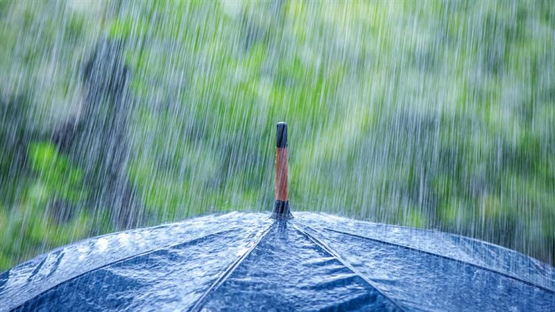 Vreme rea: ploi şi temperaturi scăzute