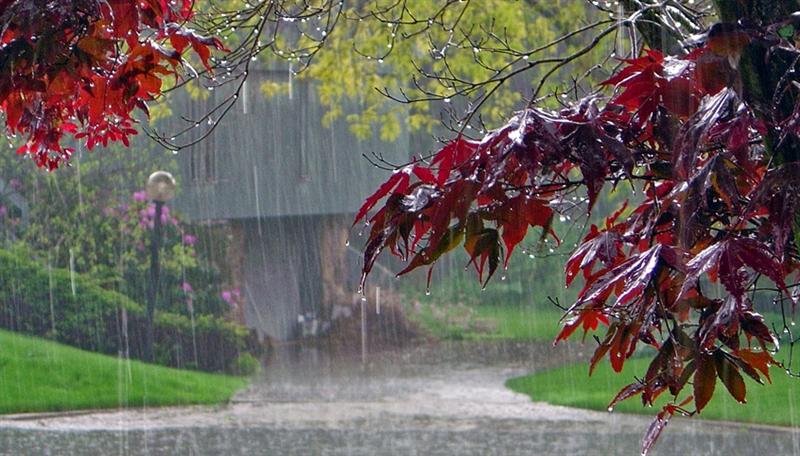 E oficial toamnă. Meteorologii anunţă ploi în toată ţara 