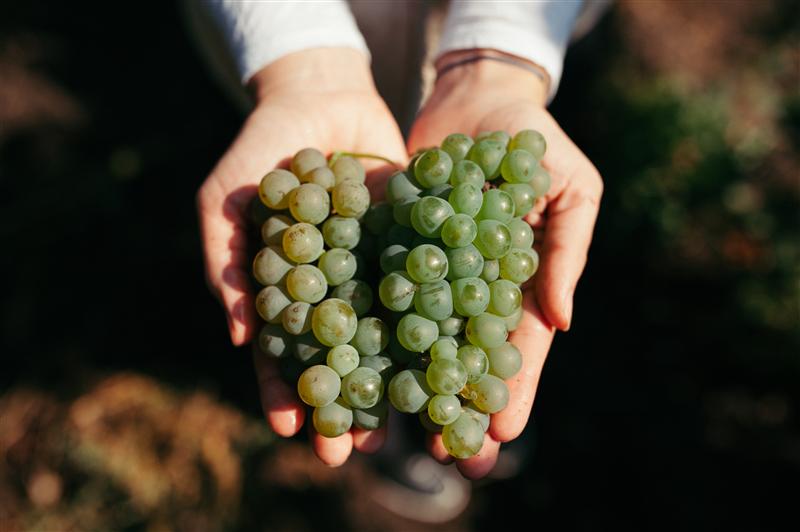 VIN CU DAR. Campanie de donaţii pentru elevi isteţi şi harnici din mediul rural