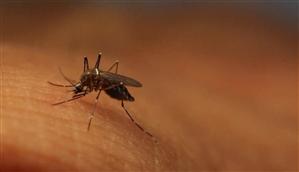 Atenţie, virusul Zika s-ar putea transmite şi prin contact fizic
