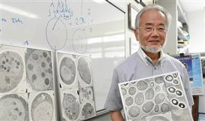 Nobel 2016: Premiul pentru fiziologie şi medicină a fost câştigat de un cercetător japonez