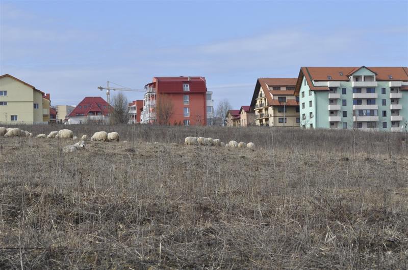 Paradoxul imobiliar de la Cluj: apartamentele vechi, mai scumpe decât cele noi
