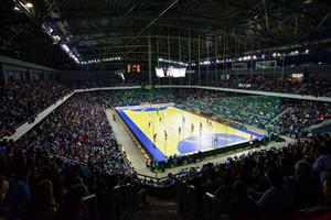 Cine face parte din lotul României la meciul de handbal cu Polonia de la Cluj