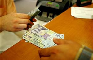 Guvernul va ataca la Curtea Constituţională legea salarizării 