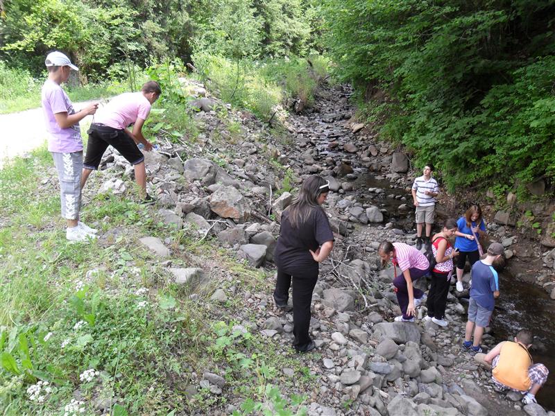 Ecologiștii vor să blocheze mai multe proiecte de microhidrocentrale în Transilvania