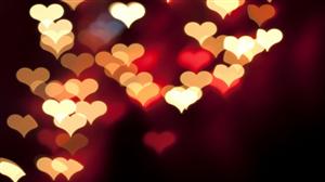 HOROSCOP de DRAGOSTE 14 februarie 2017