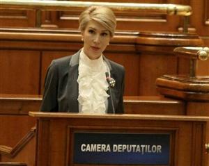 Liderul interimar al PNL, acuzaţii grave la adresa PSD
