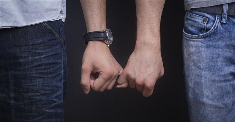 Parteneriatul civil, avizat pozitiv de Comisia pentru egalitate de şanse. Membrii, întrebaţi dacă „se simt confortabil” cu presa