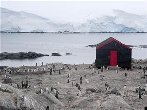 Pe urmele lui Racoviţă. Aventură clujeană în Antarctica FOTO