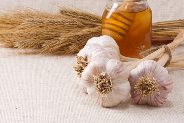 Cel mai puternic antibiotic din natură. Ce alte întrebuinţări medicale are