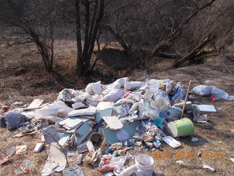 Făgetul, groapă de gunoi pentru floreşteni FOTO