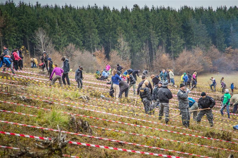 Reîmpădureşte Clujul. Peste 7.000 de puieţi, plantaţi de elevi