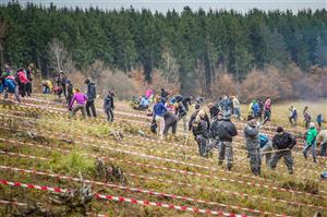 Reîmpădureşte Clujul. Peste 7.000 de puieţi, plantaţi de elevi