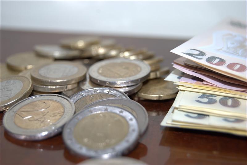 Isărescu: Aderarea la euro nu este un proiect abandonat / Dăianu: România poate adera la euro în minimum nouă ani