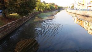 Canotaj pe Someş şi spaţii de promenadă continue. Tema de concurs pentru amenajarea râului care trece prin Cluj