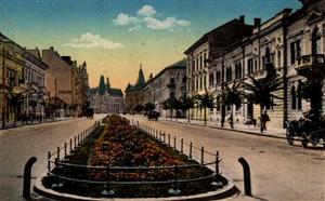 Cum arăta Clujul anilor '60. Îşi mai aminteşte cineva gustul SUPCO FOTO/VIDEO
