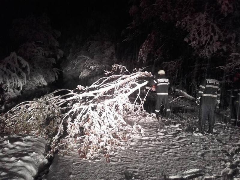 Vremea rea a doborât arbori şi cabluri de electricitate la Cluj FOTO