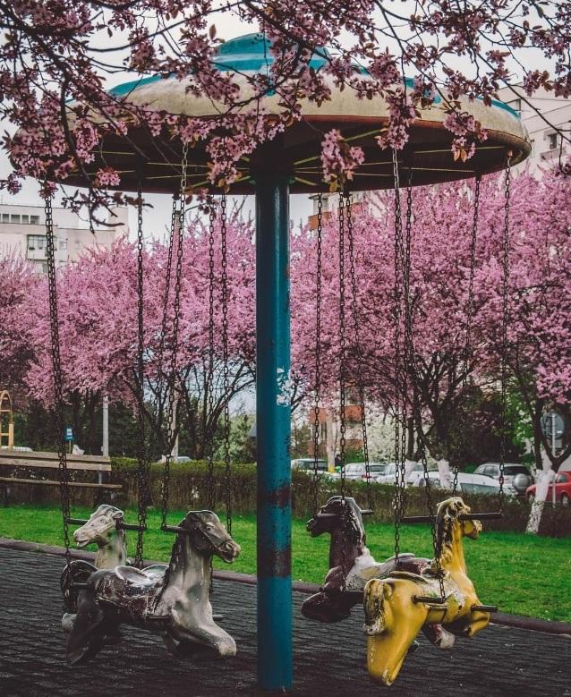 Dor de primăvară? Cele mai frumoase fotografii din Cluj de dinainte de 