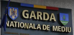 Grevă la Garda de Mediu Cluj. Ce îi nemulţumeşte pe angajaţi