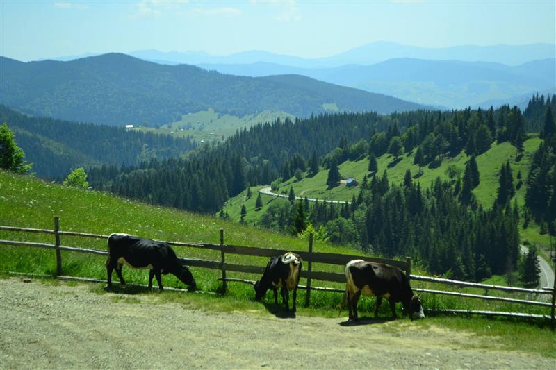 Zeci de mii de euro de la stat pentru pensiuni turistice sau tabere. Cererile se depun de săptămâna viitoare