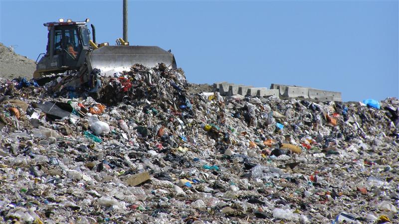 România, dată în judecată pentru că a eşuat în gestionarea gunoaielor