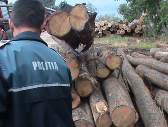 Lemn deținut ilegal, confiscat de Poliție