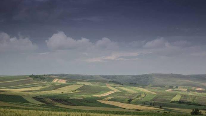 Pajişti şi păşuni. Care sunt noile condiţii pentru subvenţionarea asociaţiilor agricole