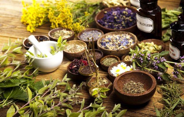 FARMACIA DIN GRĂDINĂ | Cele 28.000 de plante care au proprietăți medicinale