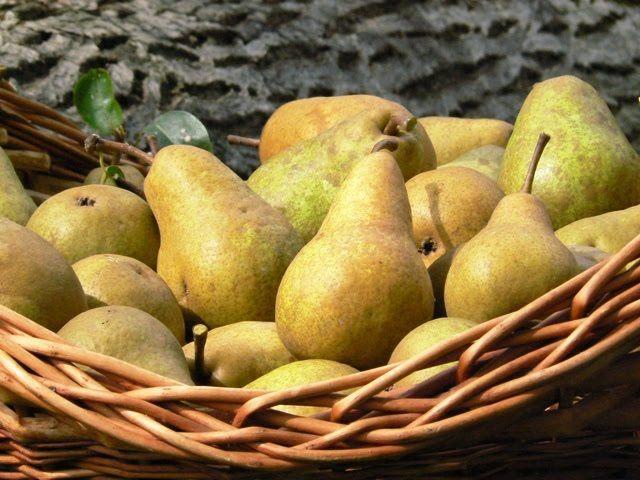 Perele - 5 beneficii pentru sănătate