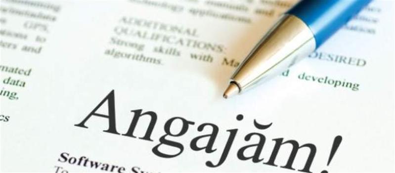 Finanţare de la stat pentru firmele care creează locuri de muncă