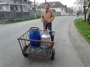 Napolact îşi găseşte greu materie primă. Mai puţin lapte disponibil în piaţă
