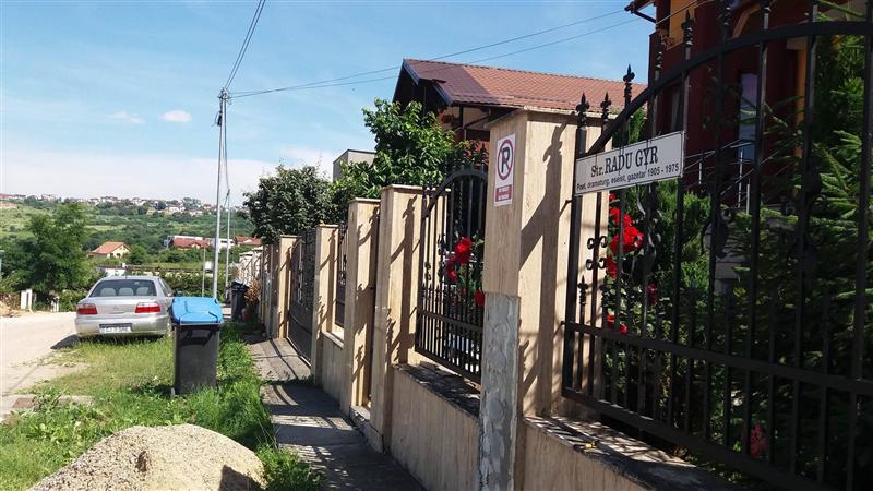 Boc a retras proiectul privind redenumirea străzii Radu Gyr