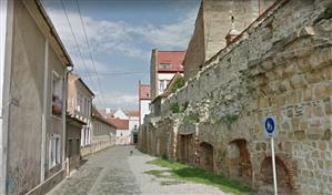 ONG Fest Cluj pe strada Potaissa