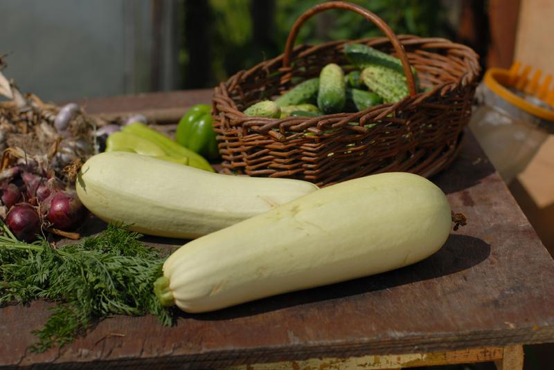 Dovlecelul - 5 beneficii majore pentru sănătate
